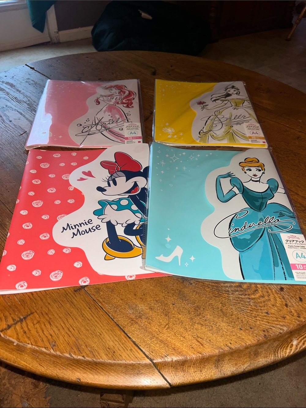 Disney Minnie Mouse & Princesses file folders